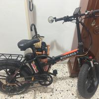 Bici elettrica