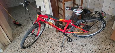 bicicletta