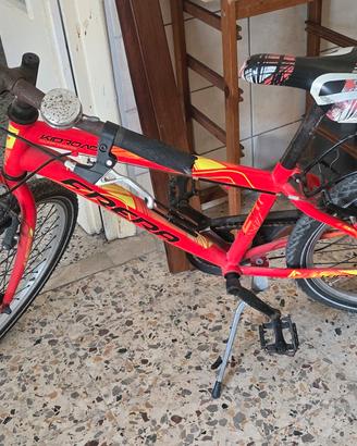bicicletta