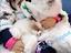 Immagine 3