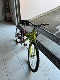 zecchini bicicletta