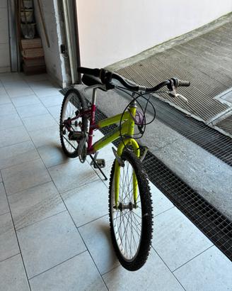 zecchini bicicletta