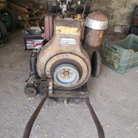 motore per irrigazione 18 cv 