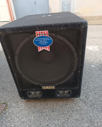 woofer 500x2rms