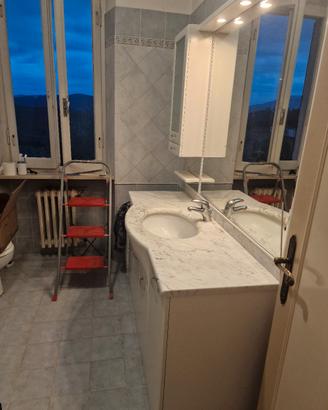 Mobile bagno