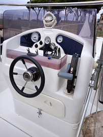 Blumax 19+Suzuki Ari 40 CV