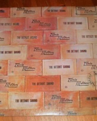 Vinile The Detroit Sound del 1966-Prima stampa