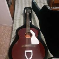 Chitarra eko ranchero 12