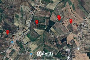 Terreno Agricolo Castel Frentano [v458VCG]