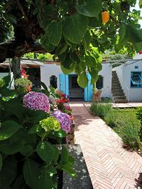 Anacapri. Casa di charme con giardino