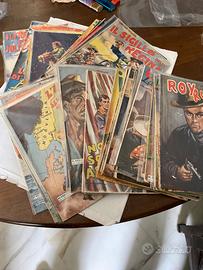 Lotto albi intrepido anni 50