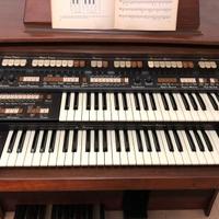 Solton P500 ORGANO Funzionante