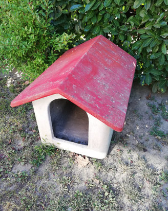 Casetta per cani
