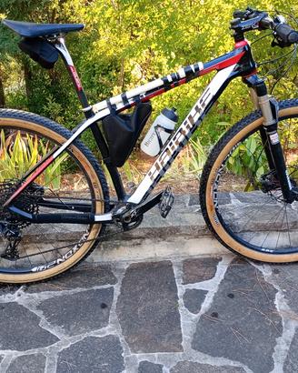MTB Telaio GIANT