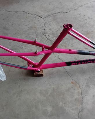 Mtb Bianchi Ragno  Thomisus 26"