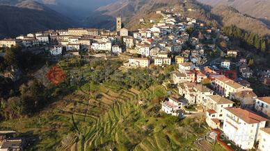Terratetto Coreglia Antelminelli [UM238GBVRG]