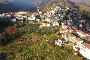 Terratetto Coreglia Antelminelli [UM238GBVRG]