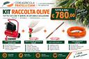kit-completo-per-la-raccolta-delle-olive
