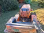 Immagine 6