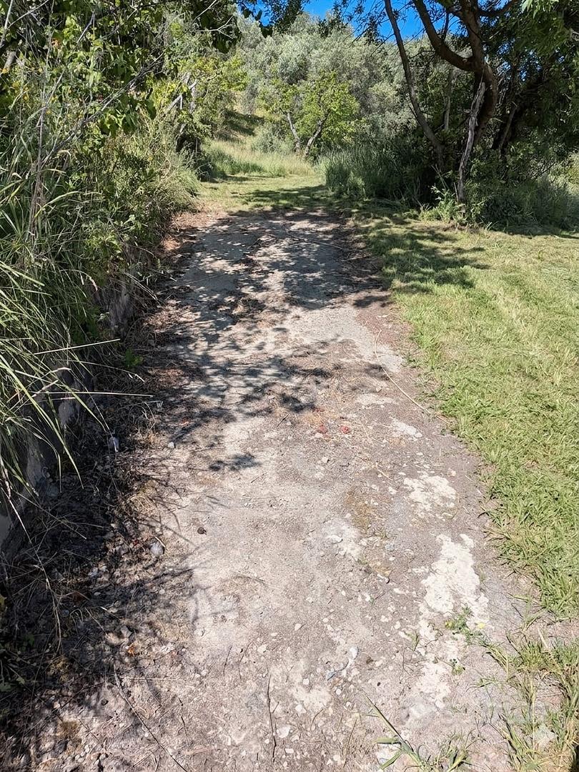 Terreno Agricolo con Uliveto+Casetta uso Magazzino - Vista 2