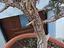 Immagine 6