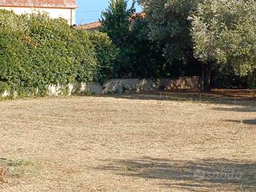 Terreno edificabile