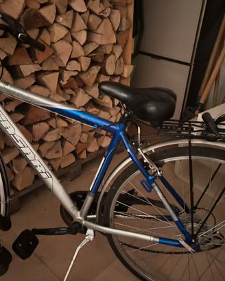 Bicicletta adulto