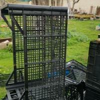 Cassette per frutta e verdura 