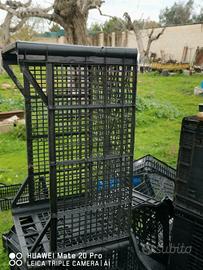 Cassette per frutta e verdura 