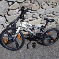 BMX bicicletta