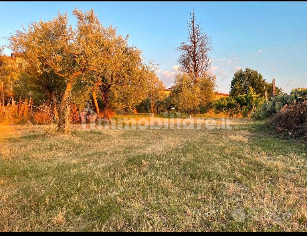 Terreno agricolo a Le Poggiola - Vista 3