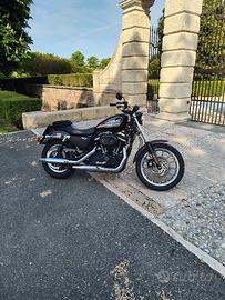 Harley 883 R carburatori
