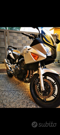 Honda cbf 600
