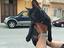 Immagine 3