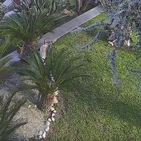 Villa bifamiliare a schiera