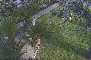 Villa bifamiliare a schiera