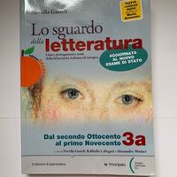 Lo sguardo della letteratura