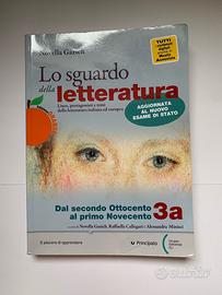 Lo sguardo della letteratura