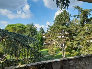 Appartamento tricamere zona viale venezia - FILZI