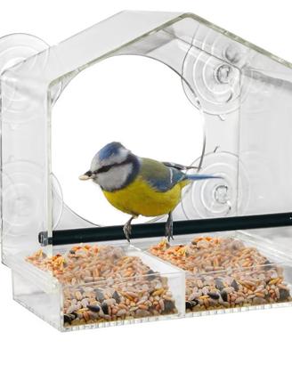 Mangiatoia per uccelli