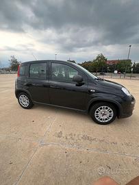 Fiat panda 1.0 ibrida 2024