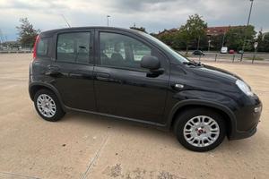 Fiat panda 1.0 ibrida 2024
