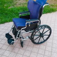 Carrozzina per disabili professionale