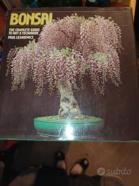 4 Libri Bonsai in Inglese 