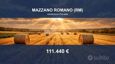 Immobile in asta di 41390 m² a Mazzano Romano