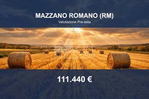 Immobile in asta di 41390 m² a Mazzano Romano