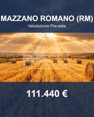Immobile in asta di 41390 m² a Mazzano Romano