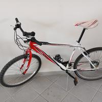 Bicicletta MTB
