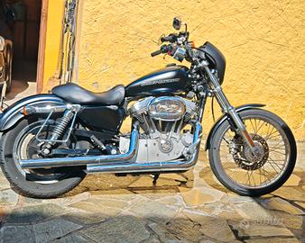 Harley davidson 883 c