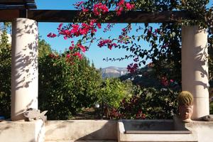 Villa Soprana,casa vacanza CIN IT083041C2SOCP2VYW